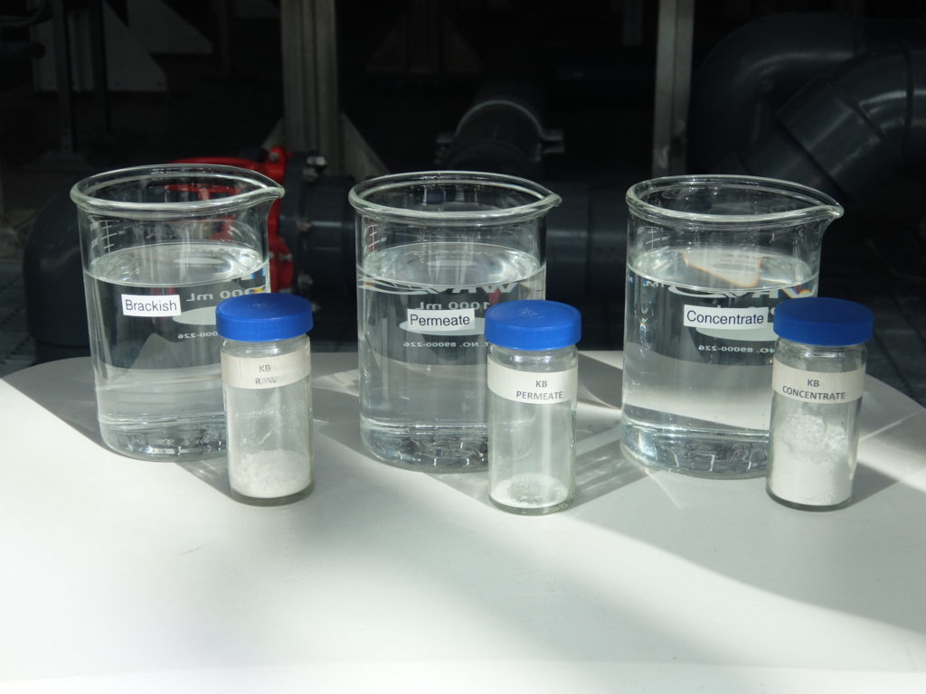 Beakers with identical looking water samples next to vials containing differing amounts of salt.