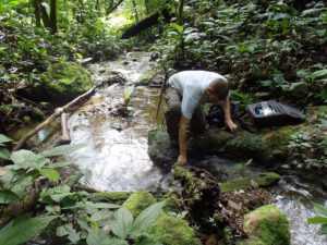 Student taking water sample from stream in tropical forest.