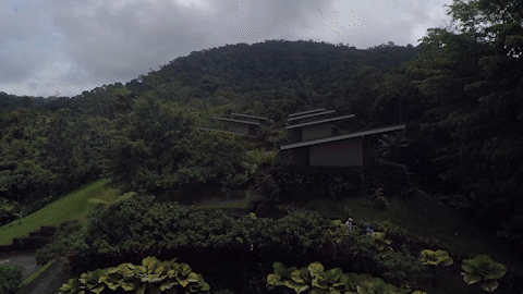 Clips of drone imagery over the Costa Rica rainforest and Soltis Center