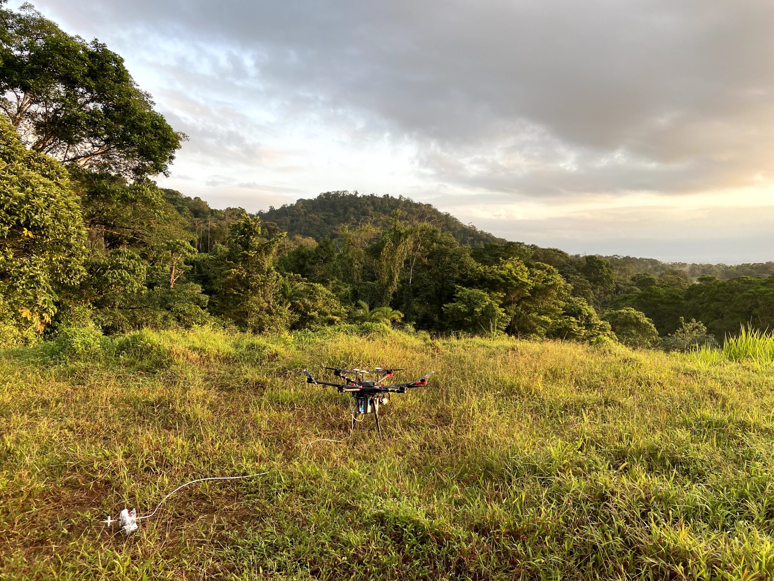 Drone shown ready to launch from a field with rainforest trees and sky in background.